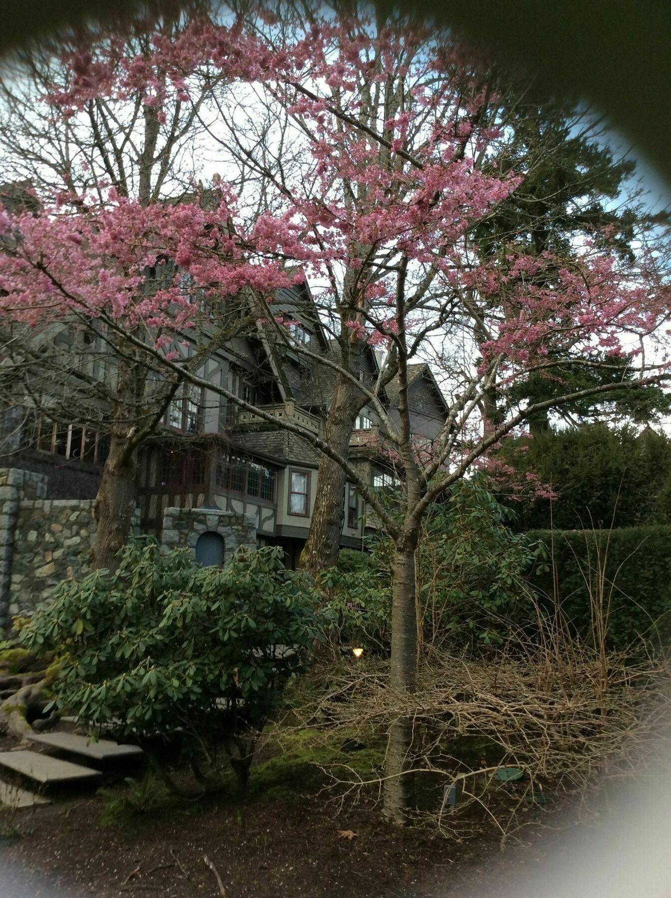 English Inn Esquimalt Екстериор снимка